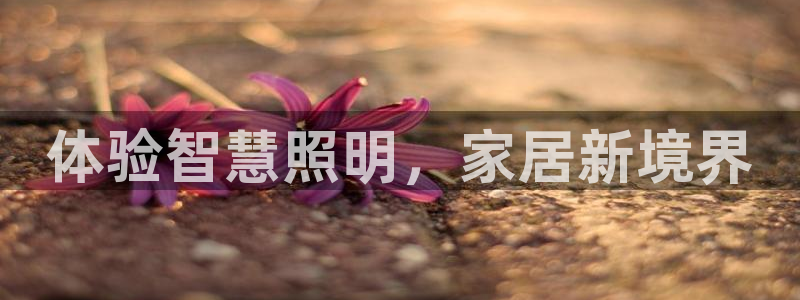 云顶国际服什么时候更新s9