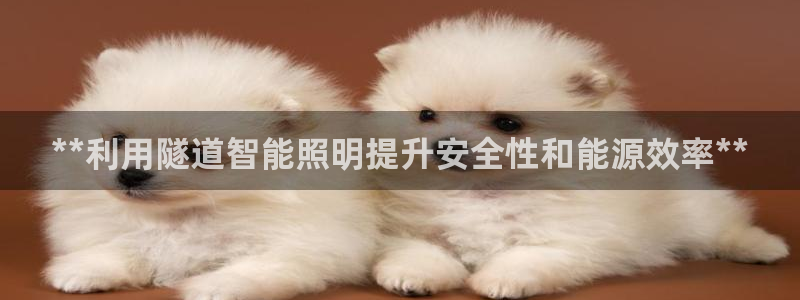 云顶国际晟荣协会
