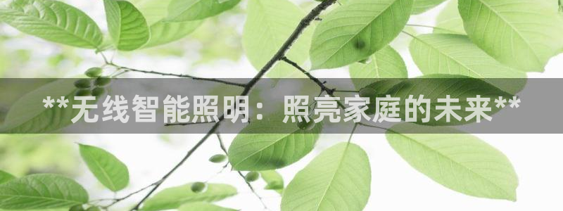 云顶国际网站进不去了