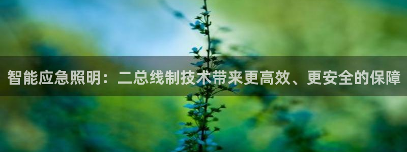 云顶国际会所