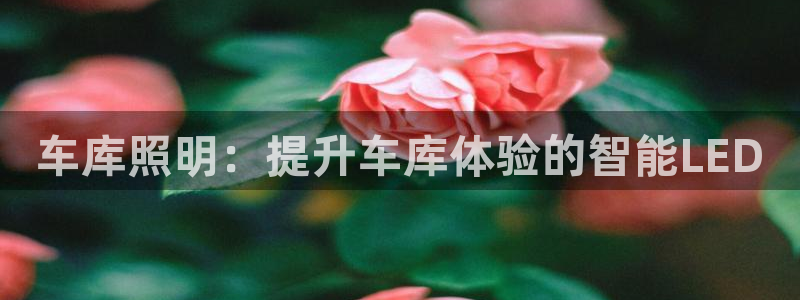 云顶国际app官方下载安装苹果