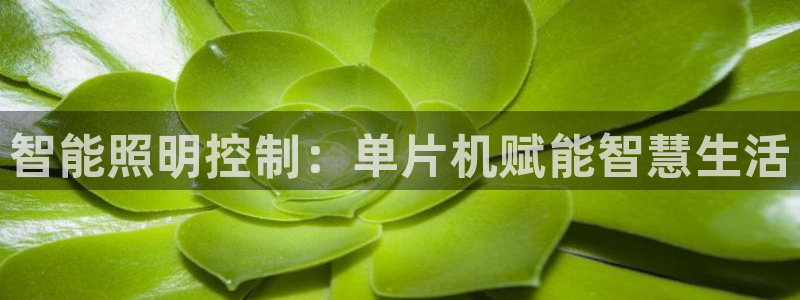 云顶国际大酒店位于