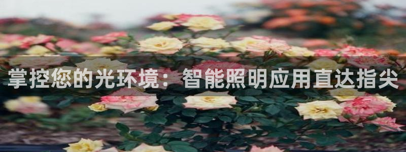 云顶国际官网官方客服