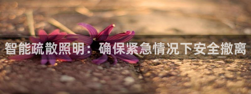 云顶国际电话号码