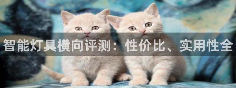 云顶yy