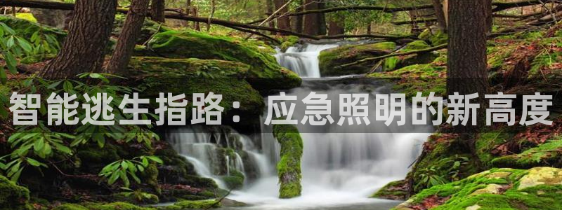 云顶国际手机app下载
