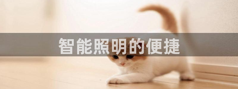 云顶国际服最新版