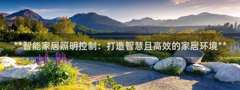 云顶国际培训机构