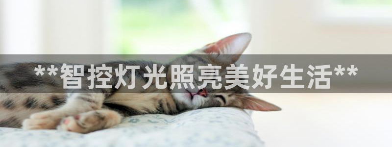 云顶集团简介