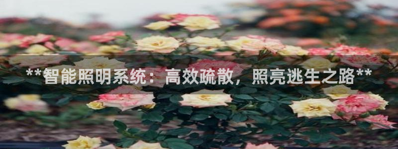 云顶集团董事长是谁
