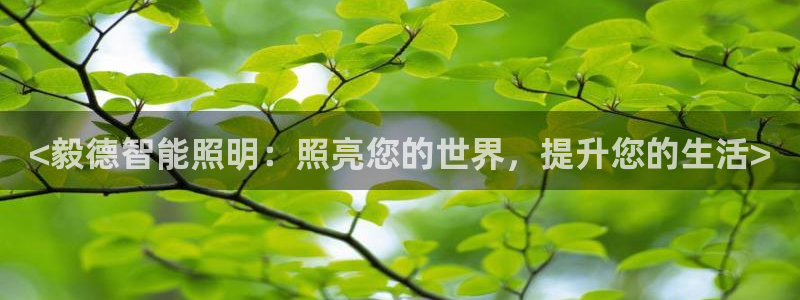 云顶国际不出款怎么办