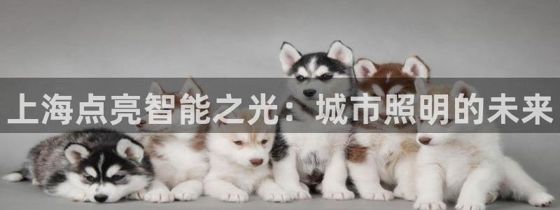 云顶国际高尔夫俱乐部地址