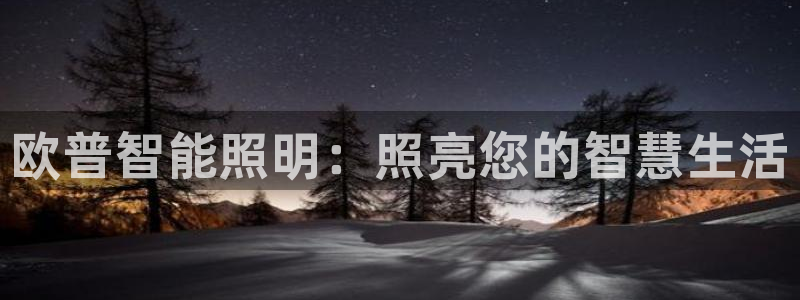 云顶国际城手机网址是什么