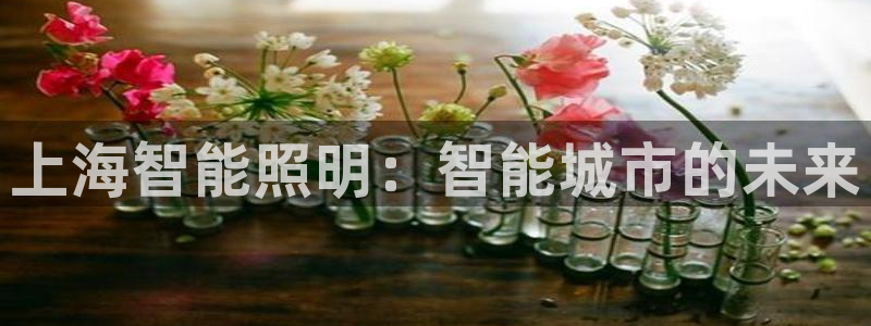 云顶国际手机app下载
