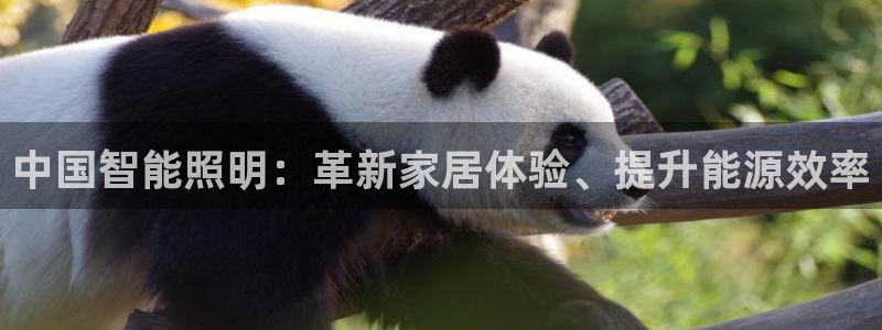 云顶集团老总个人资料