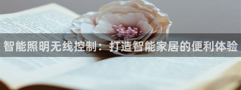 云顶集团有限公司