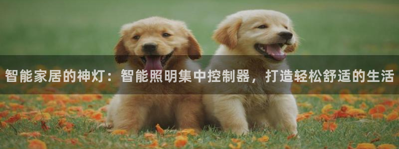 云顶最新套路2021