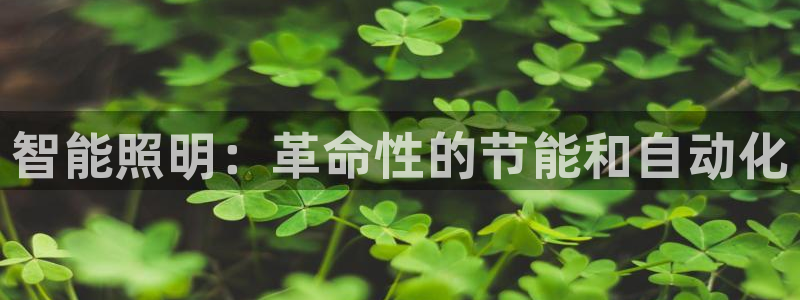 云顶国际公馆在哪个街道