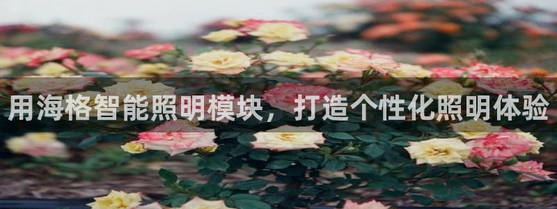 云顶国际服叫啥