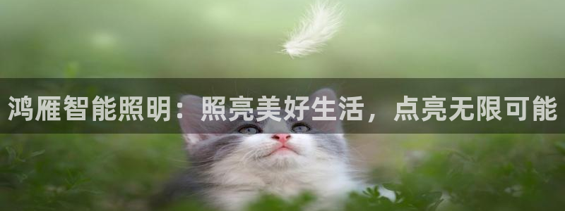 云顶国际百姓渔村最建议去吗