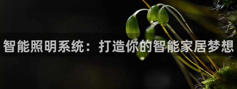 云顶国际提款不到账什么原因