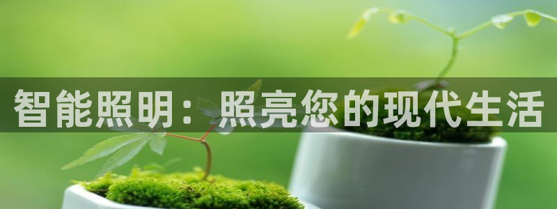 云顶国际网站能玩吗