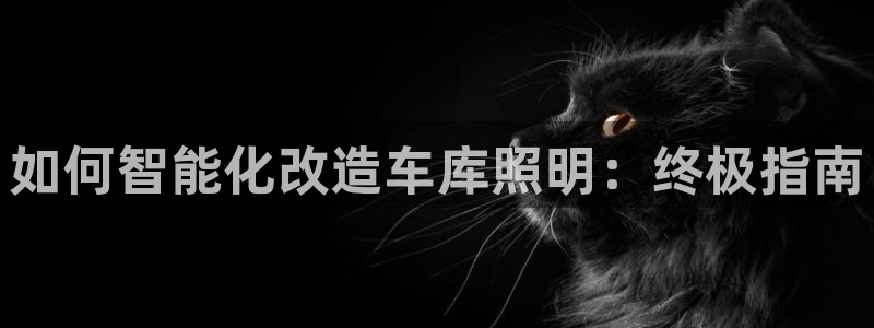 云顶国际体育官方网站