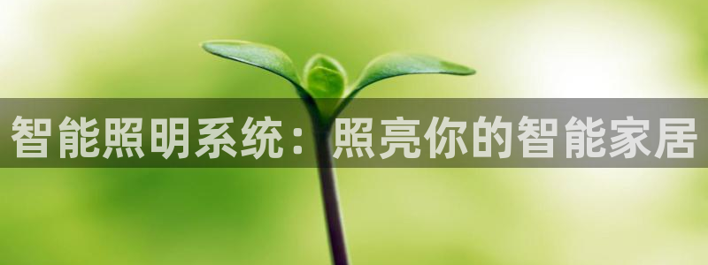 云顶国际广场附近银行