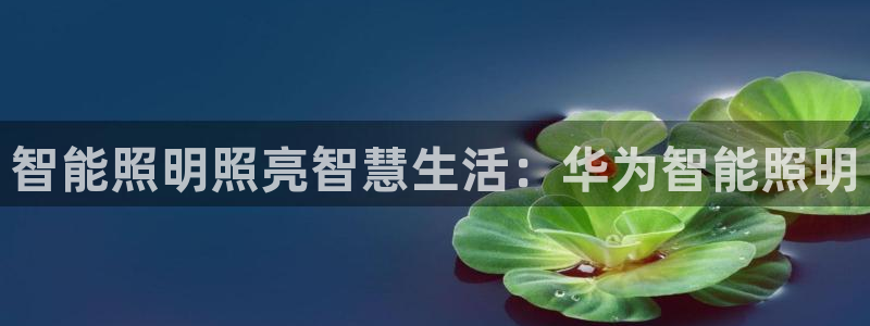 云顶集团简介概况