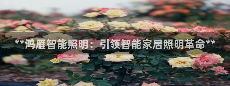 云顶国际版手游