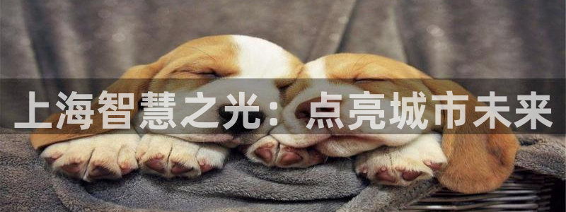 2322云顶国际手机版