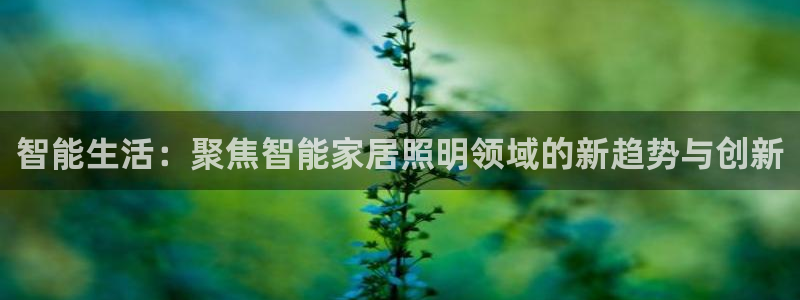 云顶集团有限公司招聘