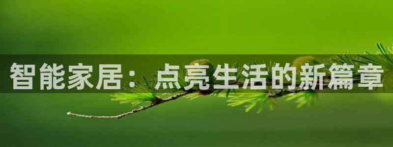 云顶游戏官网网址