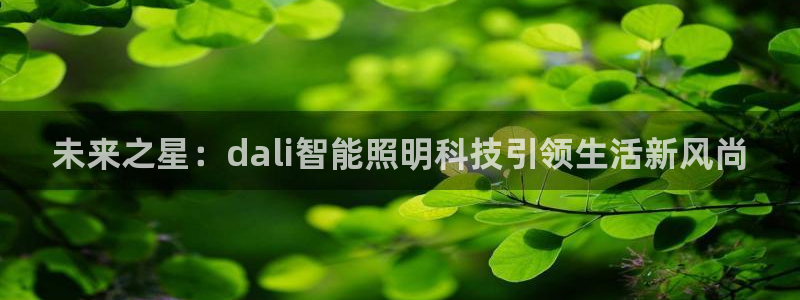 云顶国际版下载：未来之星：dali智能照