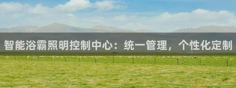 云顶国际平台游戏