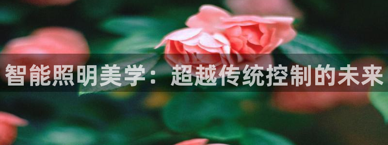 云顶国际宴会中心怎么样