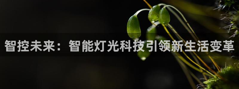 云顶国际服没有改名卡