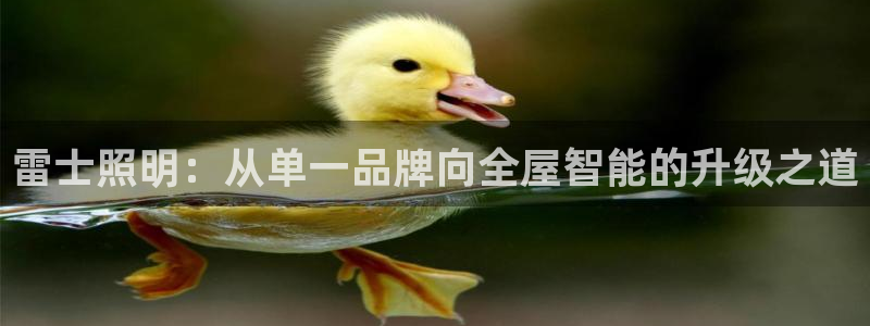 云顶国际晟荣协会荣誉奖项