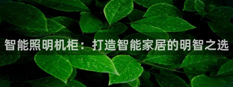 云顶国际集团官网首页