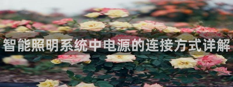 云顶国际nba今日推荐球员名单