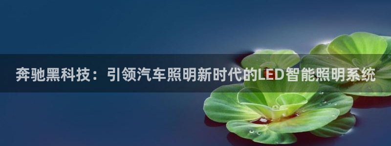 云顶国际公馆物业电话