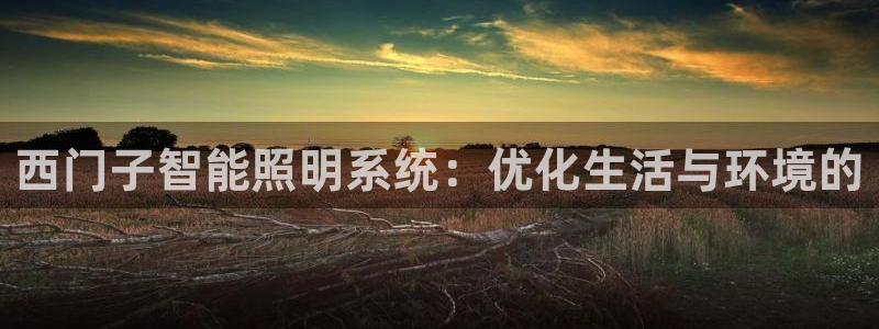 云顶国际装饰设计