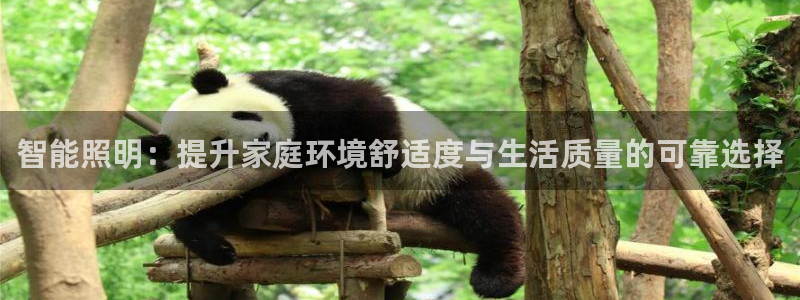 云顶集团游戏app网页版