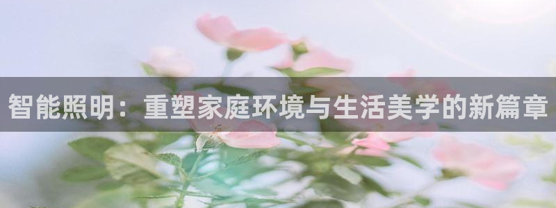 云顶集团网投领