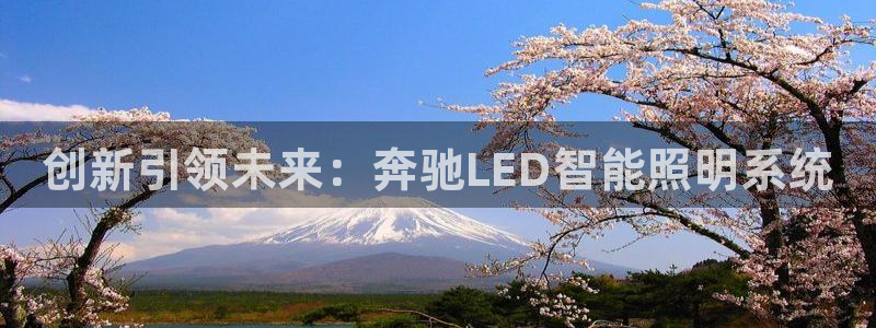 云顶国际app手机版下载