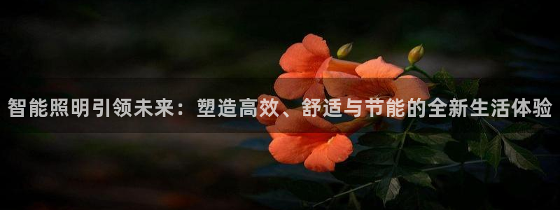 云顶国际服账号