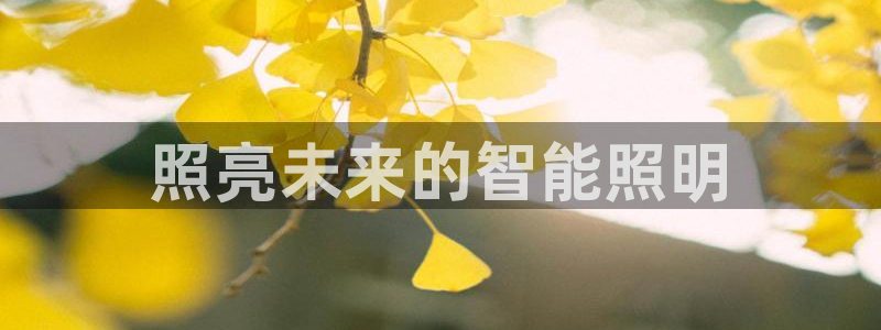 云顶国际服阵容