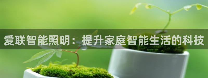 云顶国际服什么时候更新s10的：爱联智能