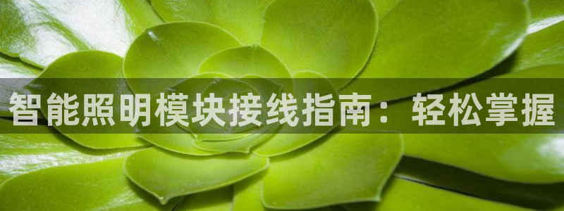 云顶集团游戏app